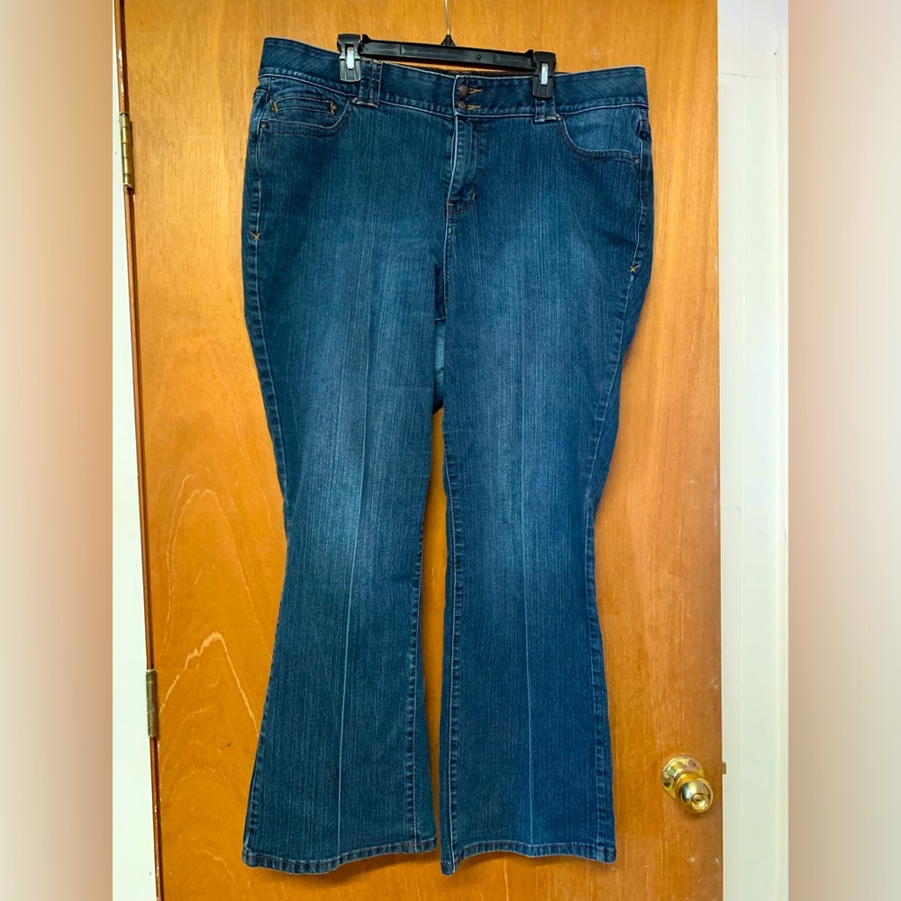 Lane Bryant jeans